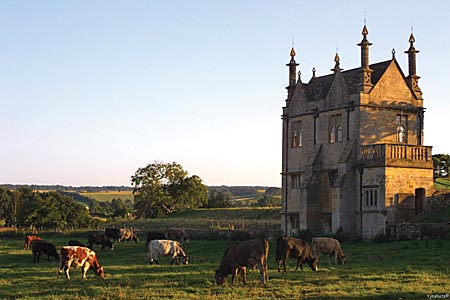 Chipping Campden Tower - photo by Terry J Morgan