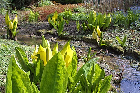 Hidcote Gardens - photo by Terry J Morgan (c)