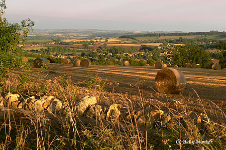 Successful Haymaking in Chipping Campden