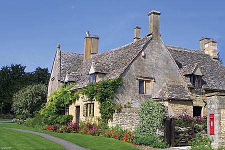 Westington - photo by Terry J Morgan